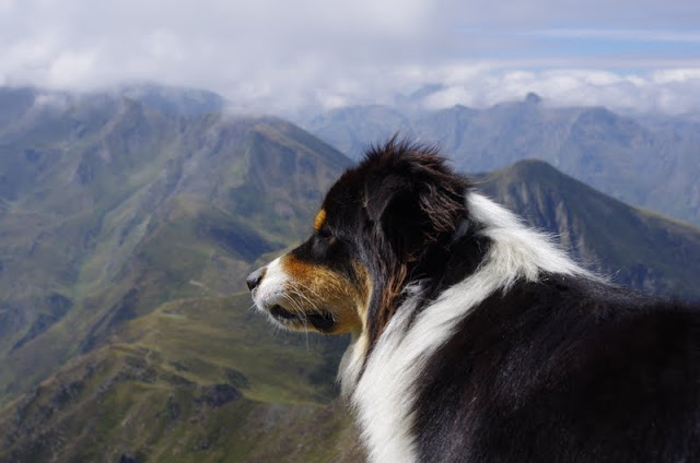fango des chemins cathares